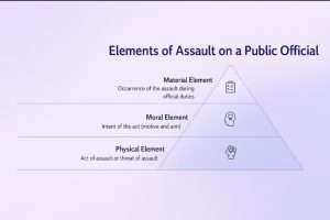 Read more about the article The Seriousness of the Crime of Assaulting State Employees