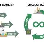 Read more about the article The Concept of Sustainability in Management and Economics